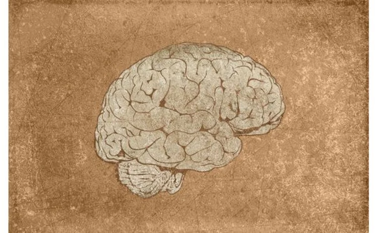 grunge-style-illustration-of-human-brain