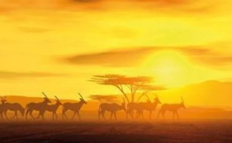 africa-sunset