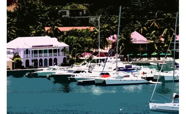 british-virgin-islands-yachts-moored-in-marina