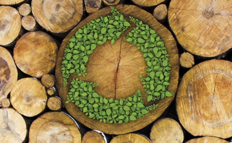 image of a recycling logo on a pile of harvested trees