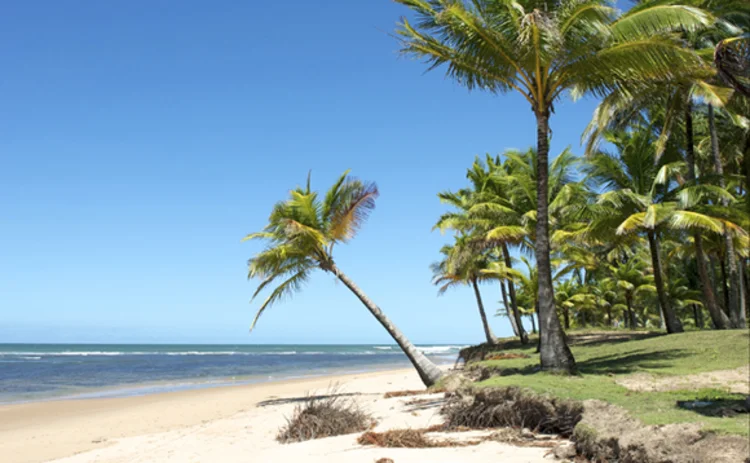 Brazil - beach sun