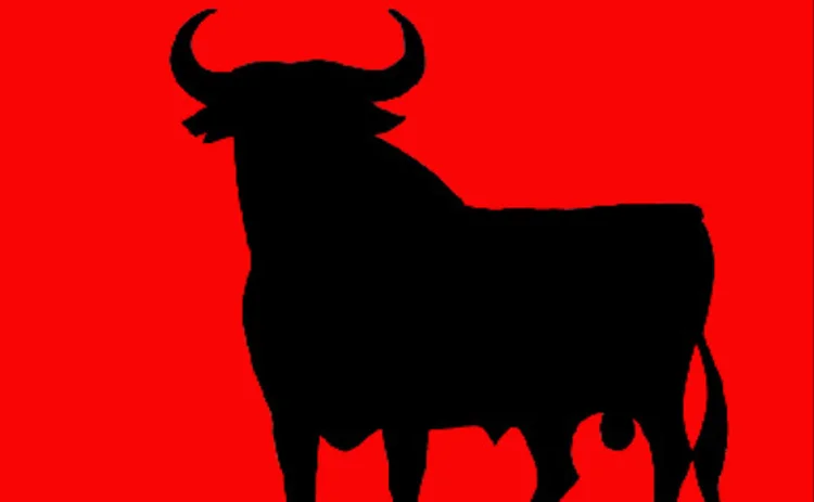 bull4