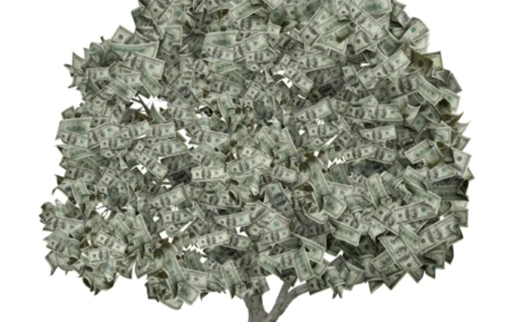 money-tree