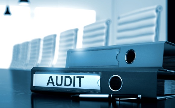 auditors the last line of defence