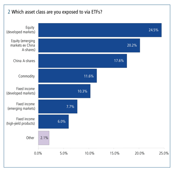 Equities in developed markets was the most popular asset class among respondents with nearly one-quarter of respondents invested in this area