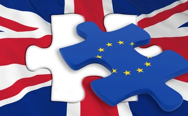 EU jigsaw piece slotting into UK jigsaw