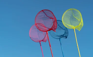 colourful butterfly nets