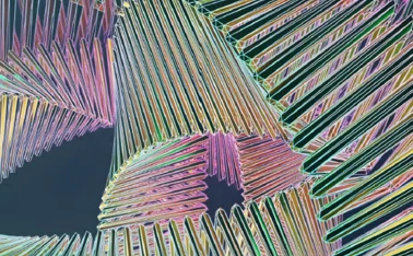 Nasdaq - AI in Apac regulatory reporting