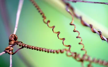 Interconnected twisted wires on a green background