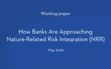 How banks are approaching nature-related risk integration