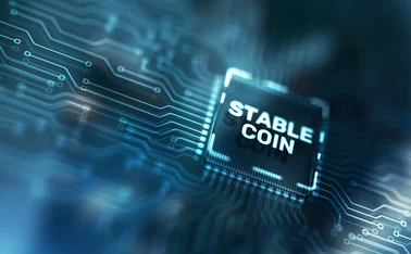 Circuit board with stablecoin processor