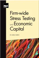 firmwide-stress-testing-book