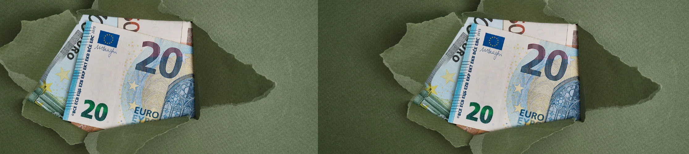 緑色の表面の裂け目から、隠されていたユーロ紙幣がいくつか見えます