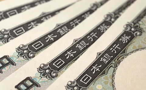 Detail of new 10000 yen notes