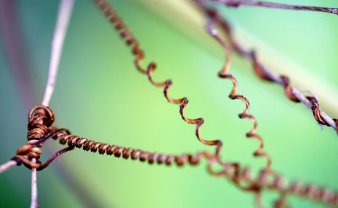 Interconnected twisted wires on a green background