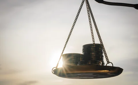dollar weights