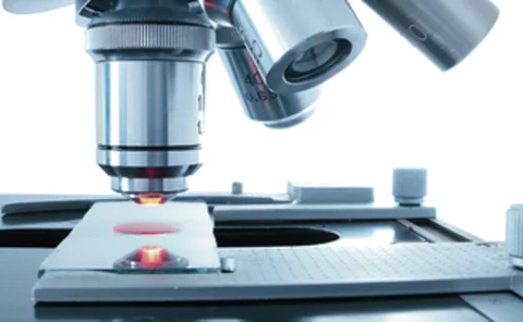 Under the microscope