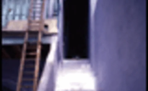 asiarisk-may07-16-gif