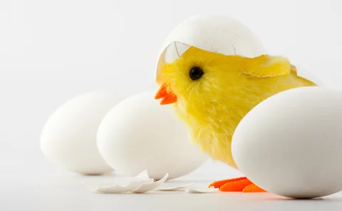 emerging-seeding-growth-2