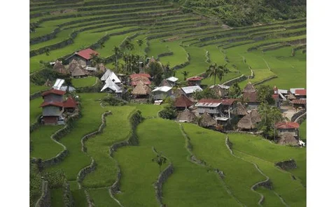 ist-3448232-ricephillipines