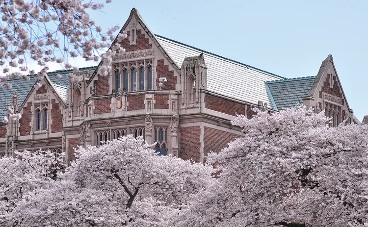 QUANT 32 University_of_Washington_Quad_cherry_blossoms_2017-20-web.jpg 