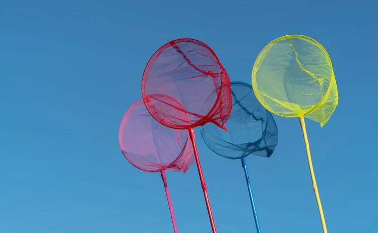 colourful butterfly nets