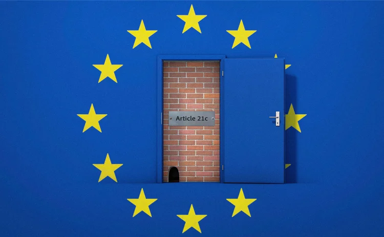 A metal plate with the wording Article 21c is placed on a brick wall that lies beyond an open door within the EU flag