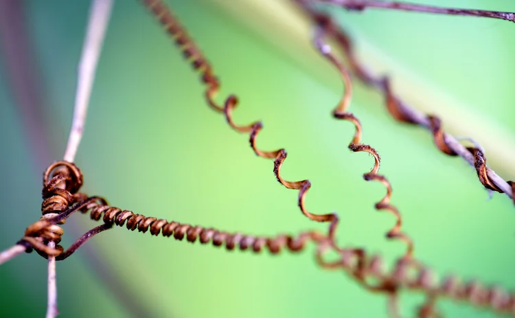 Interconnected twisted wires on a green background