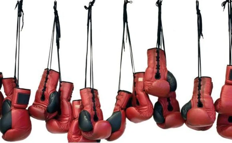 Boxing gloves