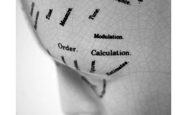 phrenology-model-head-calculation-modulation-order