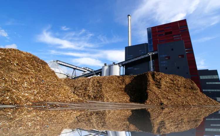 Biomass plant