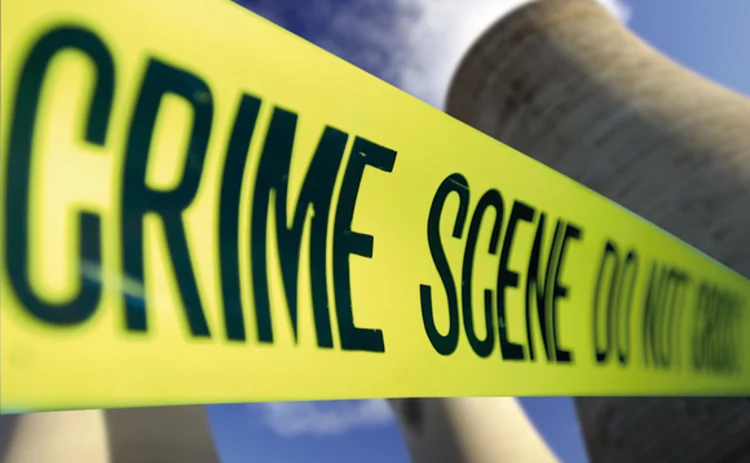 Carbon market fraud feature