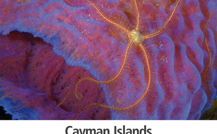 hfr-1209-cayman-supplement-cover