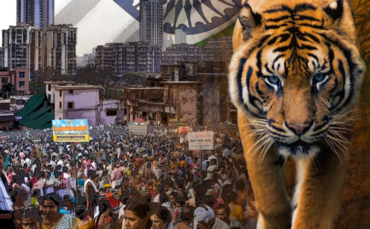 bengal-tiger-sp-final