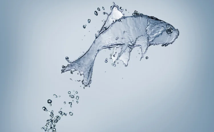 leaping-fish-made-of-water