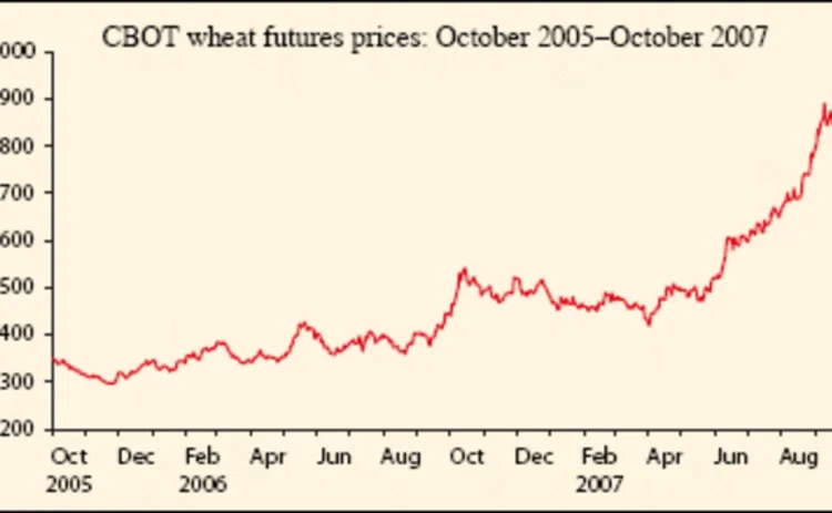asiarisk-dec07-43-gif
