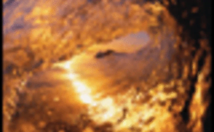 asiarisk-nov08-01-gif