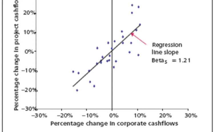 capital-graph-gif