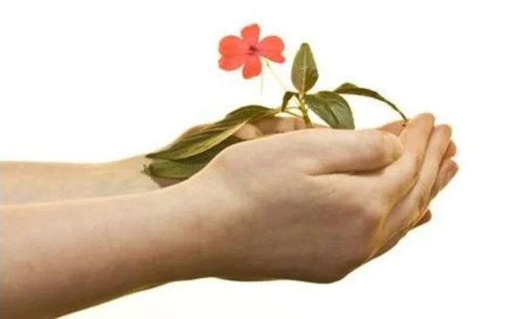 flower-hand