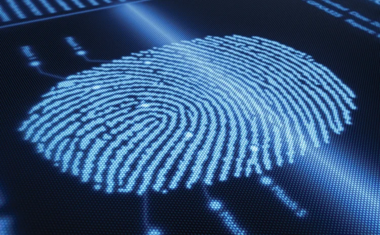 Fingerprint scanning technology on detail pixellated screen