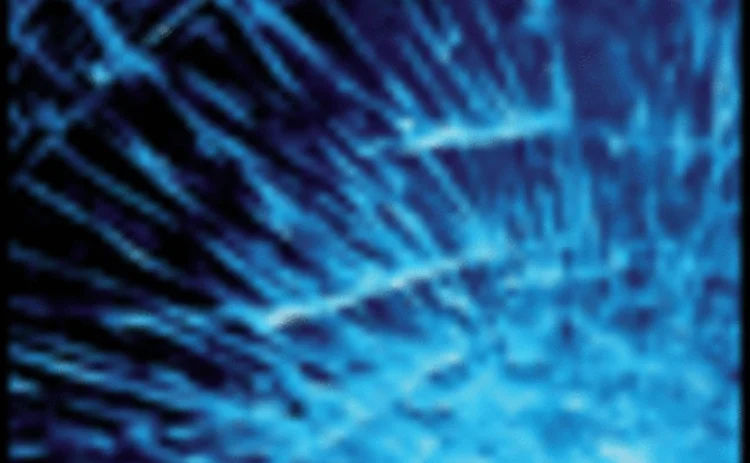 asiarisk-nov07-06-gif