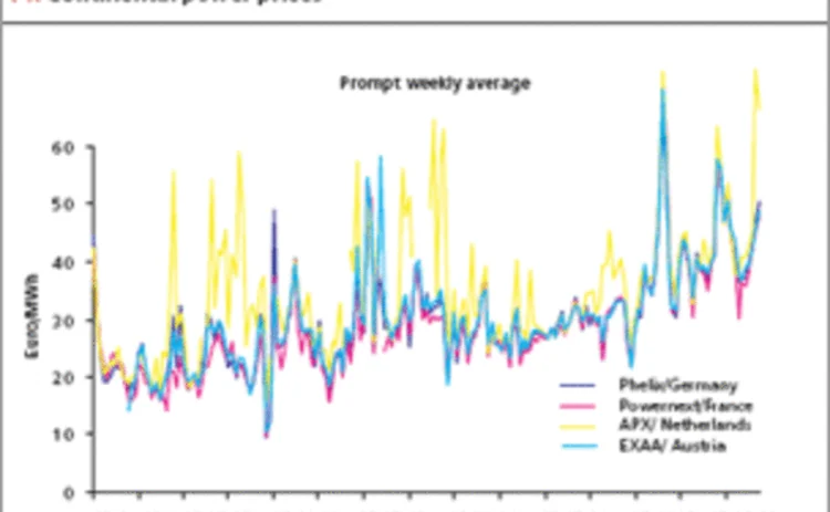 p29-graph-gif