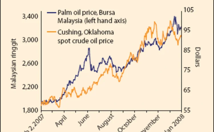 asiarisk-feb08-21-gif