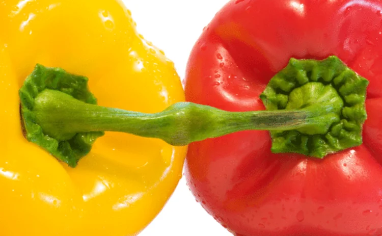 peppers-hybrid-conjoined