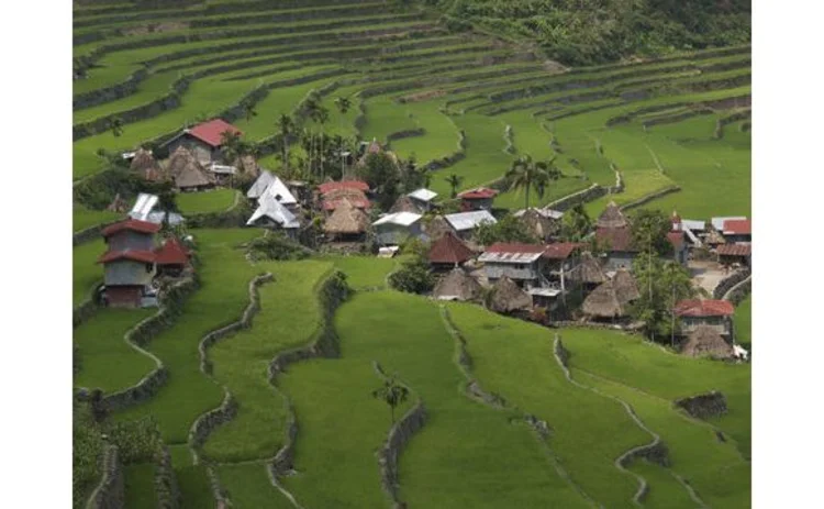 ist-3448232-ricephillipines