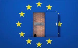 A metal plate with the wording Article 21c is placed on a brick wall that lies beyond an open door within the EU flag