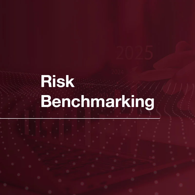 Risk benchmarking