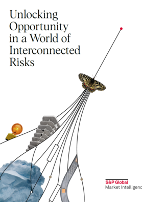 Unlocking opportunity in a world of interconnected risks