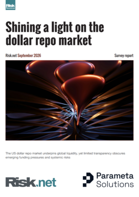 Shining a light on the dollar repo market