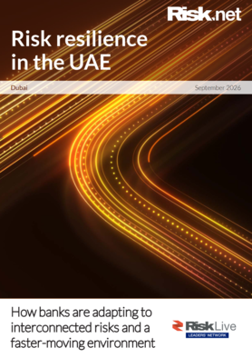 RLN Dubai - how banks are adapting to interconnected risks and a faster-moving environment